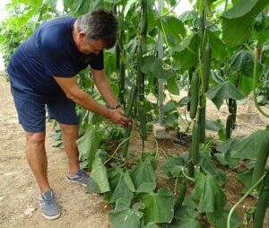 DSC01387-338x254x2x0x335x254x1727451547 DSC01387-338x254x2x0x335x254x1727451547