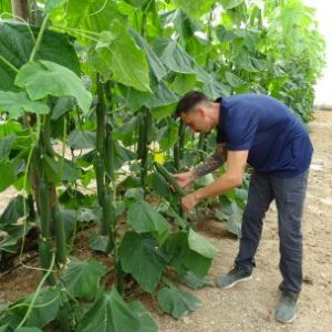 DSC01391-405x304x35x0x335x304x1727451588 DSC01391-405x304x35x0x335x304x1727451588