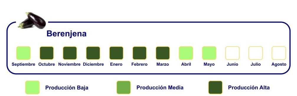 Calendario-de-Exportacion-WEB-Berenjena-png-1006x474x0x73x1006x327x1727451573