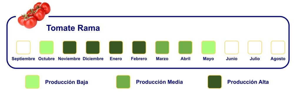 Calendario-de-Exportacion-WEB-Tomate-Rama-png-1006x474x0x92x1006x327x1727451465