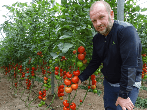 Captura-485x420x0x0x485x362x1727451374