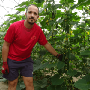 Captura-505x375x0x34x505x307x1727451711 Captura-505x375x0x34x505x307x1727451711