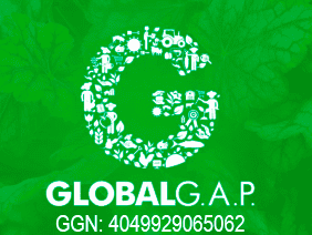 glogal gap