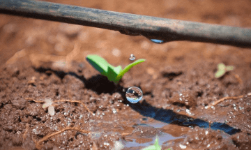 Captura-de-pantalla-2020-11-25-a-las-9.57.14-360x221x0x3x360x215x1727451686