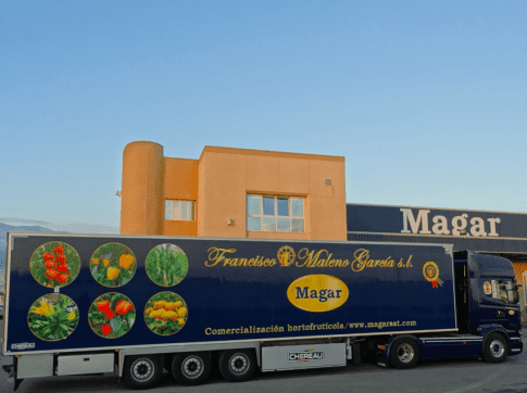 Captura-de-pantalla-2020-12-16-a-las-9.37.09-500x362x15x0x485x362x1727451831