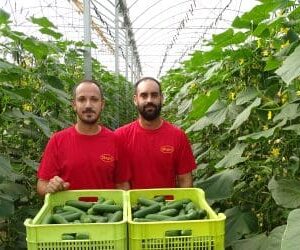 DSC01375-505x379x0x27x505x250x1727451849 DSC01375-505x379x0x27x505x250x1727451849