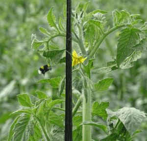 DSC01422-1-505x374x0x43x505x288x1727451629 DSC01422-1-505x374x0x43x505x288x1727451629