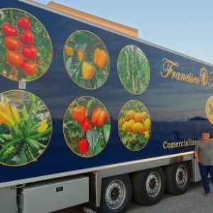 DSC01484-505x379x0x36x505x307x1727451654 DSC01484-505x379x0x36x505x307x1727451654