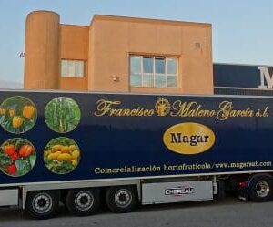 DSC01486.1-505x371x0x123x505x249x1727451758 DSC01486.1-505x371x0x123x505x249x1727451758