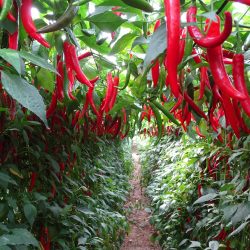 DSC01737-5000xanyx1727451498