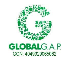 globalg.a.p