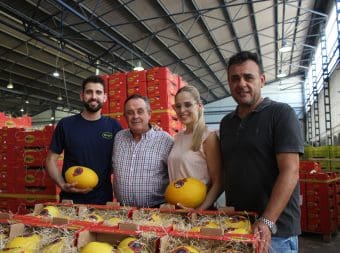 IMG_1957-380x254x35x0x340x254x1727451542