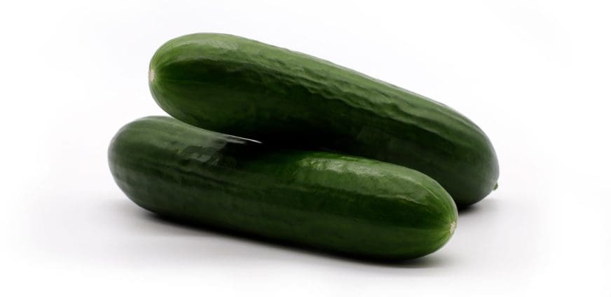 MAGAR-pepinomini-872x581x0x55x872x424x1727451693