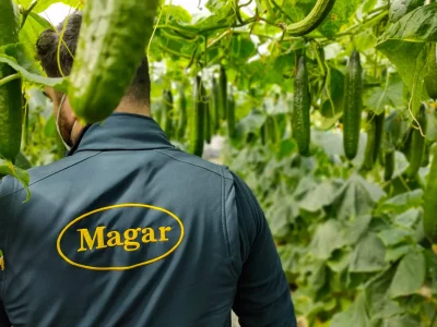 magar trabajador