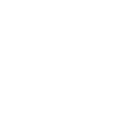 logo_cepyme500_2019_inverso logo_cepyme500_2019_inverso