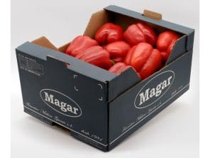 pimiento-california-envasado-magar-296x296x0x37x296x222x1727451507