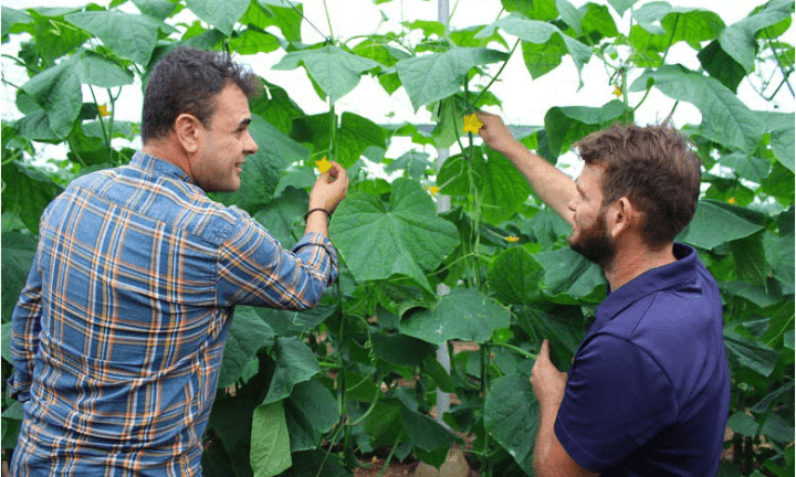 screenshot-2020-09-11-at-09.14.14-720x438x0x2x720x432x1727451597