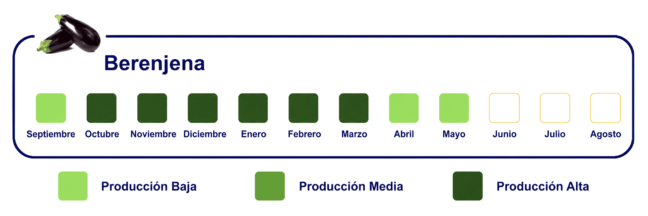 Calendario-de-Exportacion-WEB-Berenjena Calendario-de-Exportacion-WEB-Berenjena