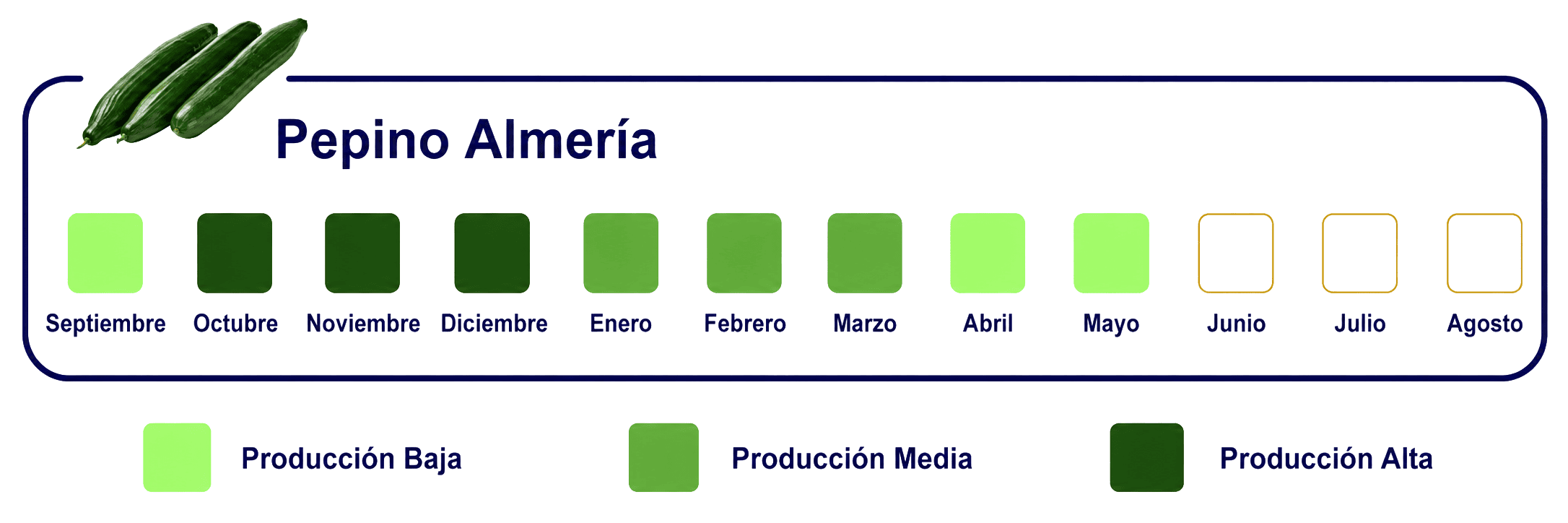 Calendario-de-Exportacion-WEB-Pepino-Almeria