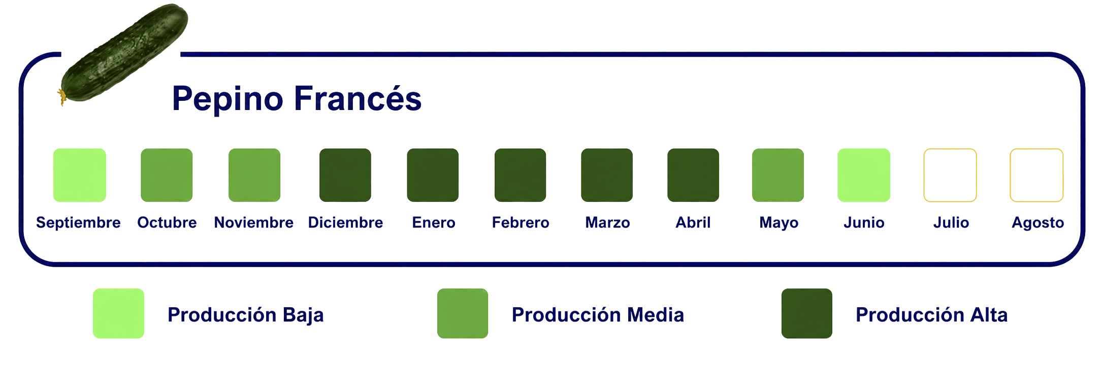 Calendario-de-Exportacion-WEB-Pepino-Frances