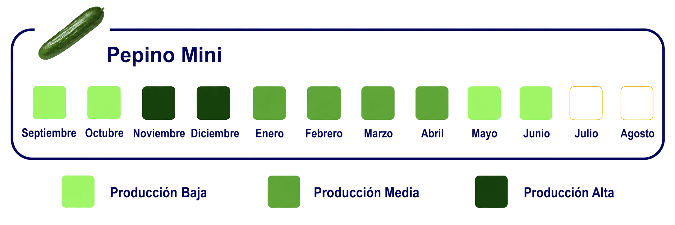 Calendario-de-Exportacion-WEB-Pepino-Mini