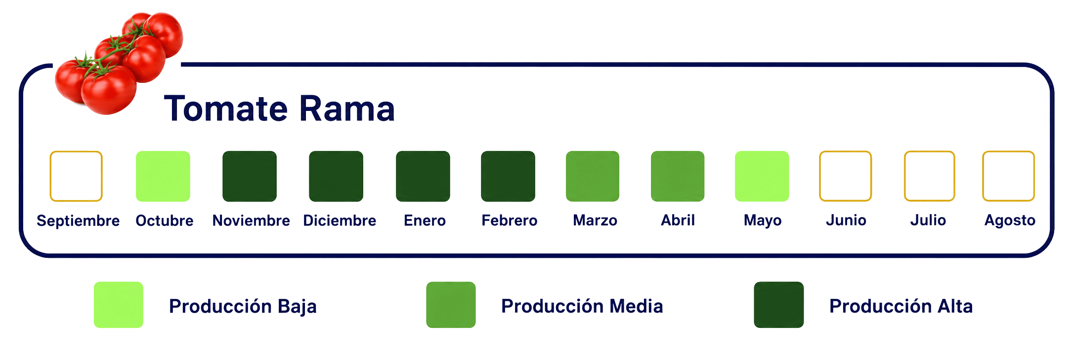 Calendario-de-Exportacion-WEB-Tomate-Rama Calendario-de-Exportacion-WEB-Tomate-Rama