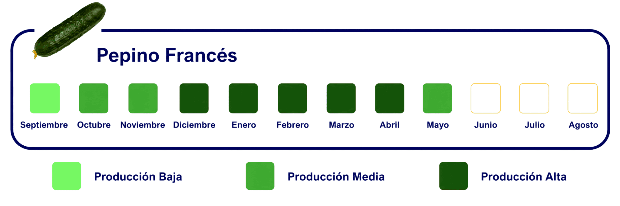 Calendario-de-Exportacion-WEB-Pepino-Frances-2048x683 Calendario-de-Exportacion Pepino francés