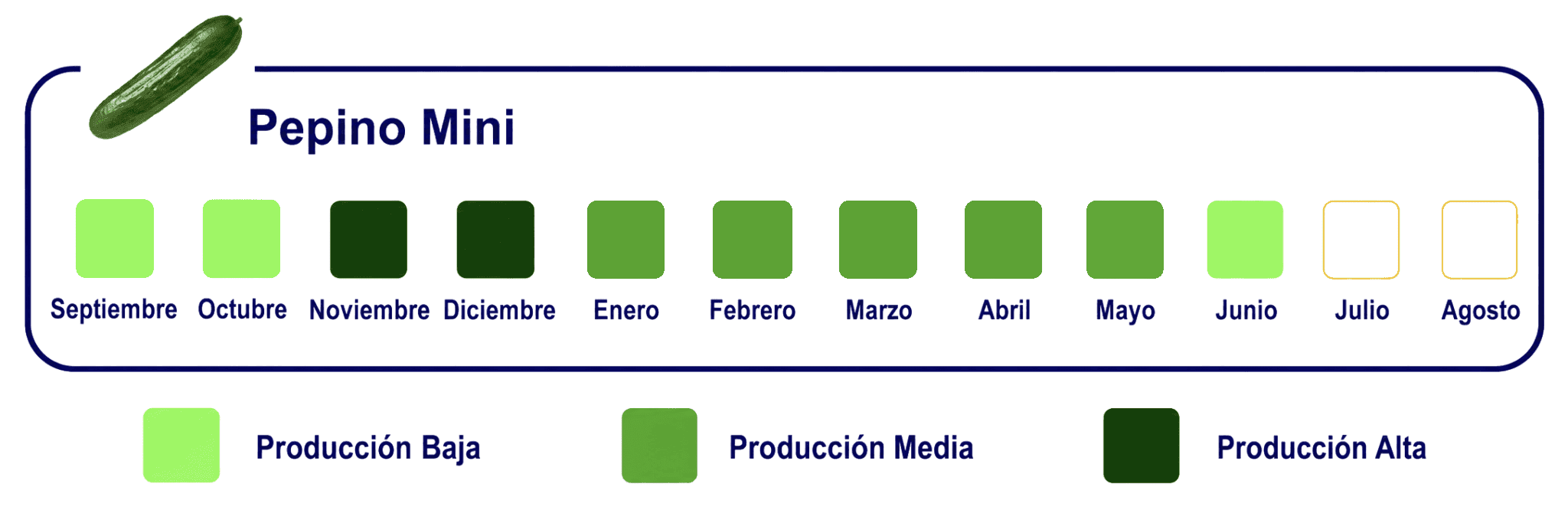 Calendario-de-Exportacion-WEB-Pepino-Mini-2048x683 Calendario-de-Exportacion Pepino-Mini-